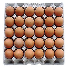 (냉장)계란